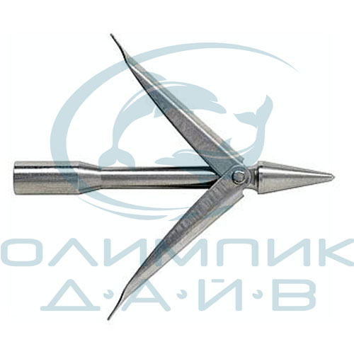 Akvilon Concord