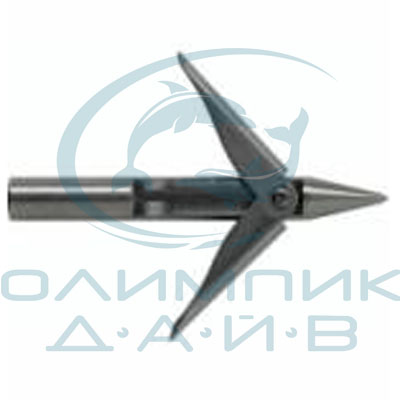 Akvilon Match